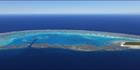 Lady Musgrave Island - QLD (PBH4 00 18351)